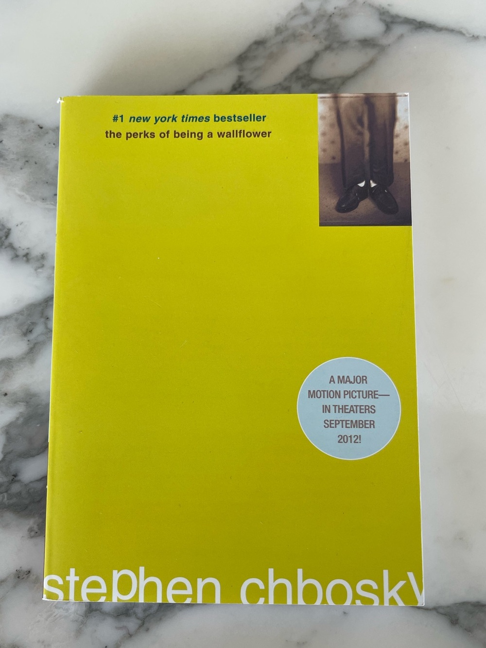 The Perks of Being a Wallflower soft cover book